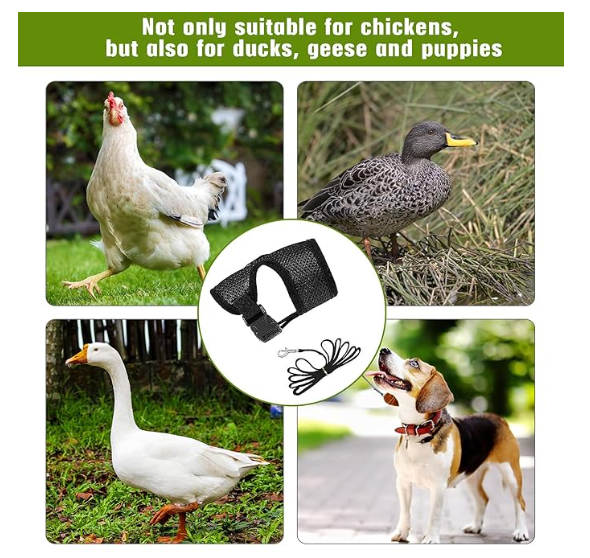 4 Pcs Adjustable Chicken Harness with Leash- 4 Styles Comfortable Hen Vest Breathable Mesh Training Harness and Leash for 2.5-3.6 Lb Duck Goose Hen Small Pets