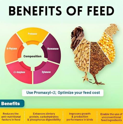 Pets Pro Food for Hen Duck Chicks Teetar Batair Feed 1Kg Teetar Batair Premium Bird Food Grower Baby Chicken, Chicks, Pellet Feed (Hen, Duck, BATER, EMU & Other)