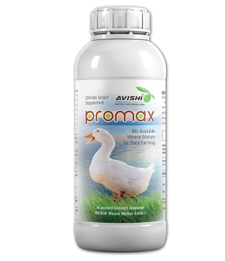Avishi Promax for Ducks (500 ml) Health Supplement for Weight Gain, Better Quality Eggs with Protein and Asparagus for Duck Bird