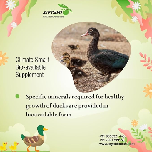 Avishi Promax for Ducks (500 ml) Health Supplement for Weight Gain, Better Quality Eggs with Protein and Asparagus for Duck Bird