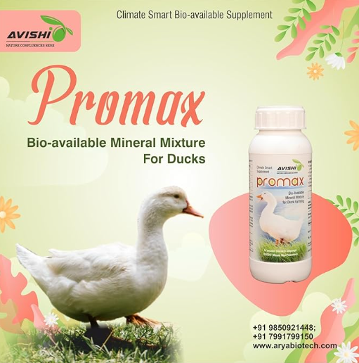 Avishi Promax for Ducks (500 ml) Health Supplement for Weight Gain, Better Quality Eggs with Protein and Asparagus for Duck Bird