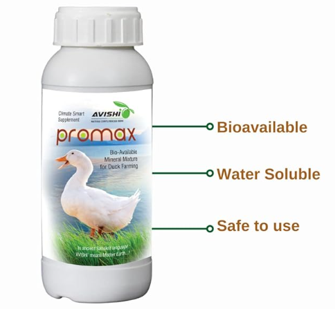 Avishi Promax for Ducks (500 ml) Health Supplement for Weight Gain, Better Quality Eggs with Protein and Asparagus for Duck Bird