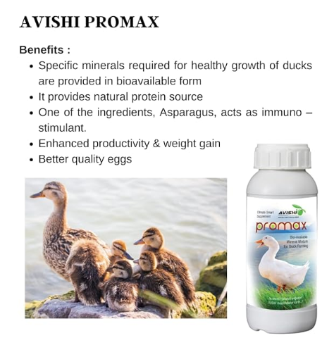 Avishi Promax for Ducks (500 ml) Health Supplement for Weight Gain, Better Quality Eggs with Protein and Asparagus for Duck Bird