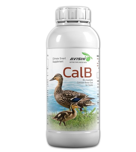 Avishi CalB Calcium-Boron (1 LTR) Active Calcium for Ducks, Organic Feed Supplement for Strong Bones, Fast Wound Healing and Embryonic Development