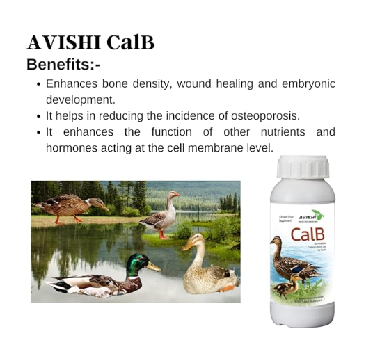 Avishi CalB Calcium-Boron (1 LTR) Active Calcium for Ducks, Organic Feed Supplement for Strong Bones, Fast Wound Healing and Embryonic Development