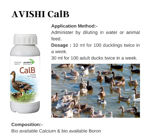 Avishi CalB Calcium-Boron (1 LTR) Active Calcium for Ducks, Organic Feed Supplement for Strong Bones, Fast Wound Healing and Embryonic Development