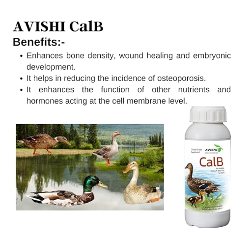 Avishi CalB Calcium-Boron (250 ML) Active Calcium for Ducks, Organic Supplement for Strong Bones, Fast Wound Healing and Embryonic Development in Duck Birds