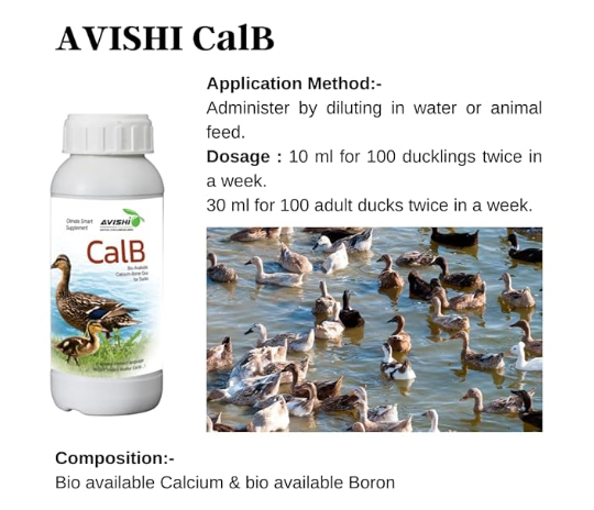 Avishi CalB Calcium-Boron (250 ML) Active Calcium for Ducks, Organic Supplement for Strong Bones, Fast Wound Healing and Embryonic Development in Duck Birds