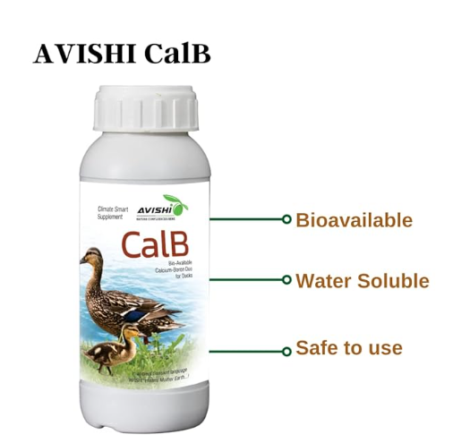 Avishi CalB Calcium-Boron (250 ML) Active Calcium for Ducks, Organic Supplement for Strong Bones, Fast Wound Healing and Embryonic Development in Duck Birds