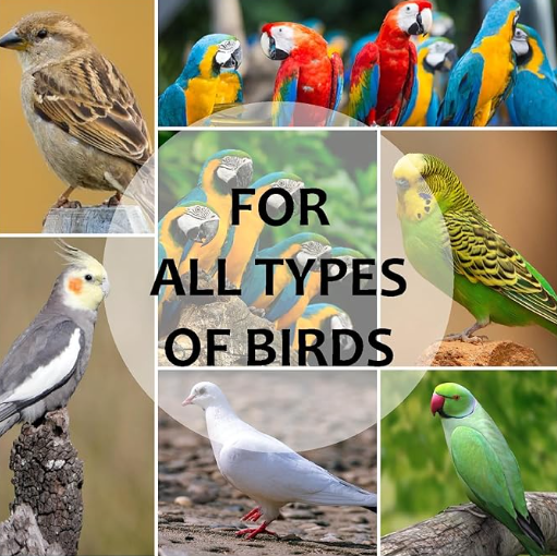 Organic & Ayurvedic Birds Sanitizer Dry/Waterless/Spray for Poultry birds/Parrots/Hen/Pigeon, duck - Natural ingredients Tulsi, AloeVera, Alcohol(Ethanol)- All Bird Types - 200 Ml - Pack Of 2