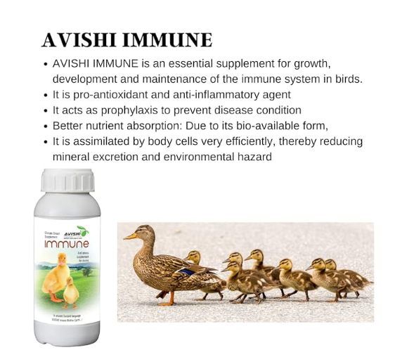 Avishi Immune for Ducks | (Anti Stress) Bio-Available Dietary Supplement for Ducks (1 LTR)