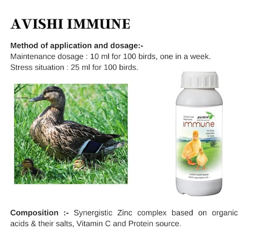 Avishi Immune for Ducks | (Anti Stress) Bio-Available Dietary Supplement for Ducks (1 LTR)