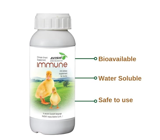 Avishi Immune for Ducks | (Anti Stress) Bio-Available Dietary Supplement for Ducks (1 LTR)