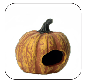 Pumpkin With hole BA-0006 (28x10x14)