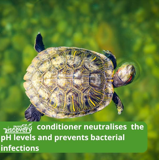 Turtle Conditoner