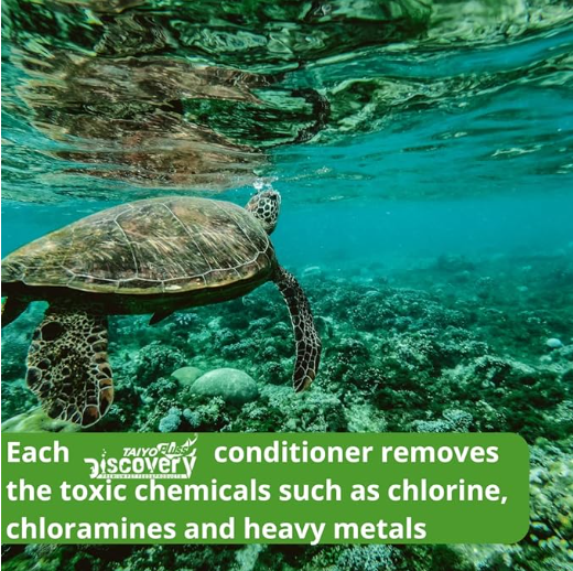 Turtle Conditoner