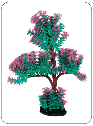 Aquarium Plants (AP-111 A)