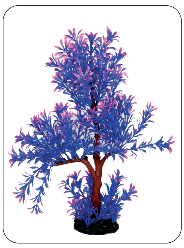 Aquarium Plants (AP-175 A)