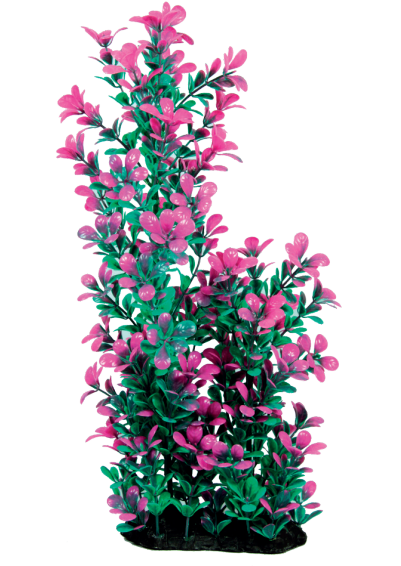 Aquarium Plants (AP-623 A)