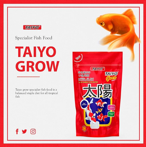 Taiyo 500gm