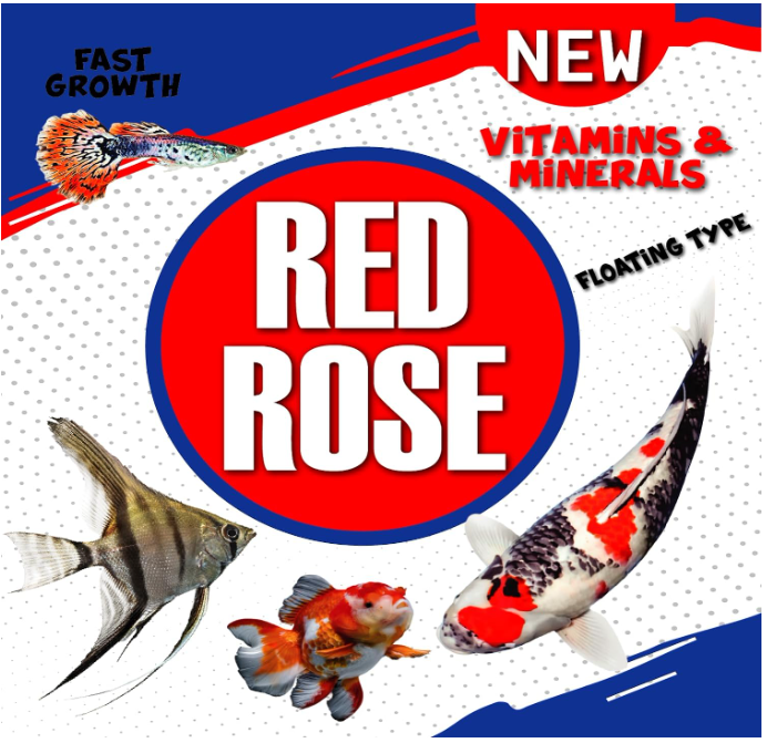 Red Rose 100gm