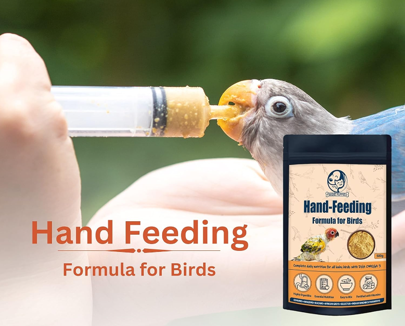 Hand -Feeding Formula 500gm