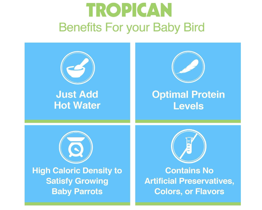 Hand -Feeding Formula 2kg