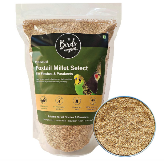 Thinai ( Millets)