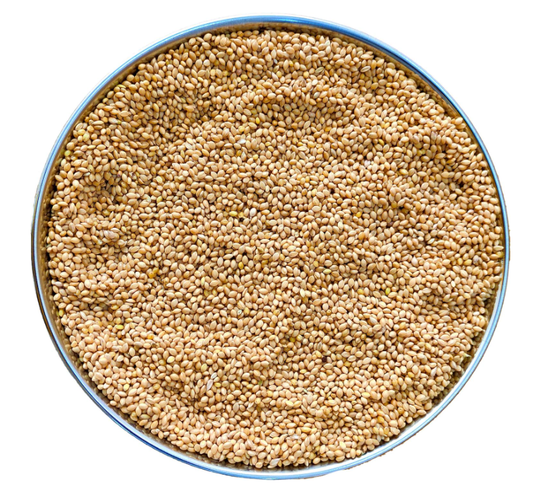 Thinai ( Millets)