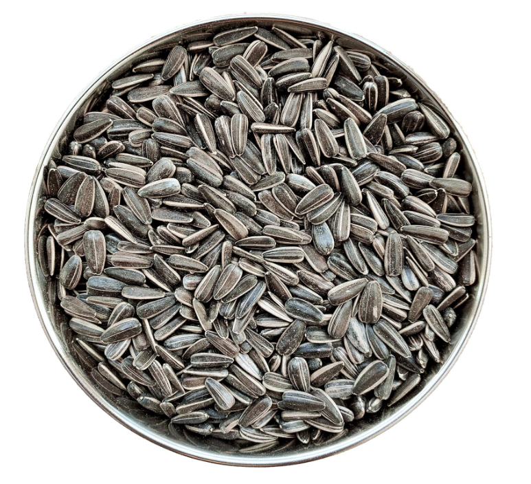 Sunflower Seed