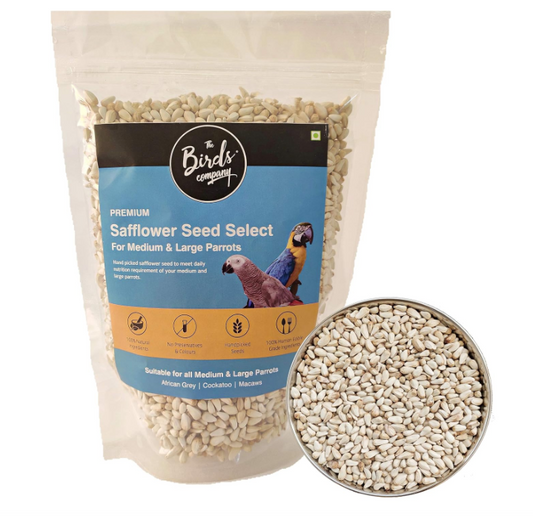 Safflower Seed