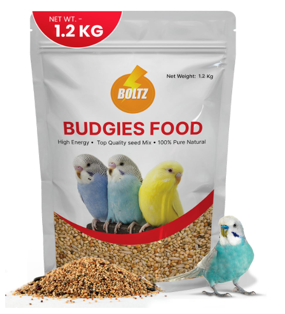 Economy Budgies Mix