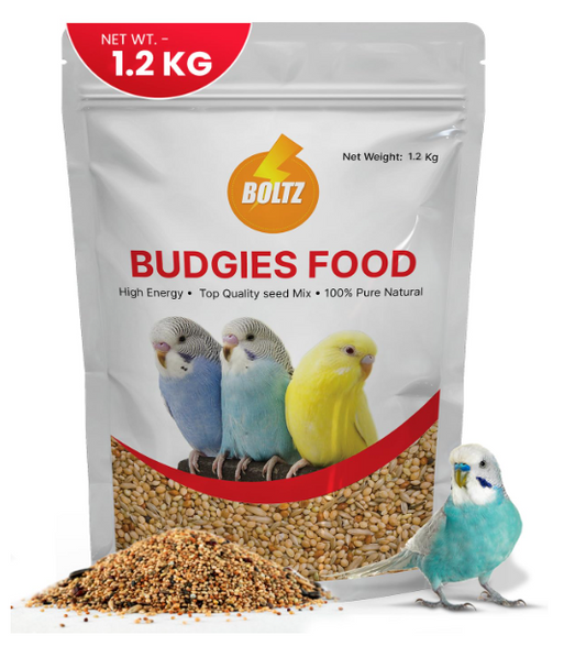 Economy Budgies Mix
