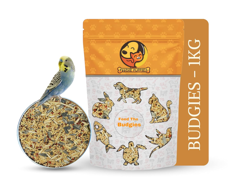 Premium Budgies Mix