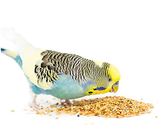 Supreme Budgies Mix
