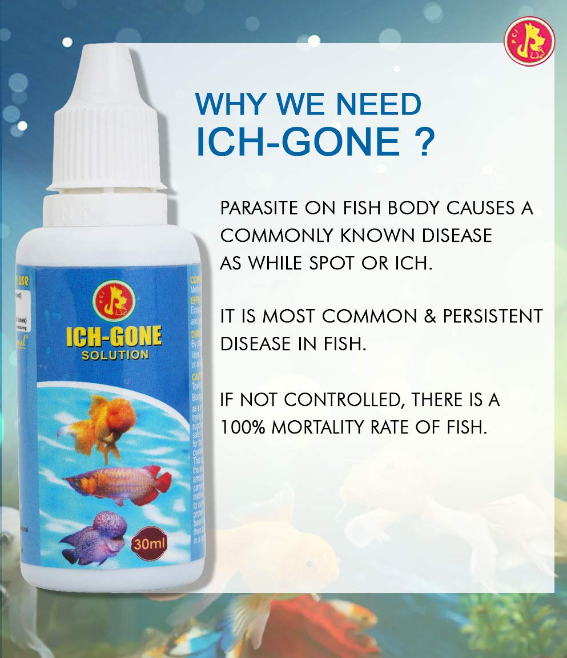 ANTI ICH 30ML
