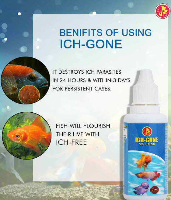 ANTI ICH 30ML