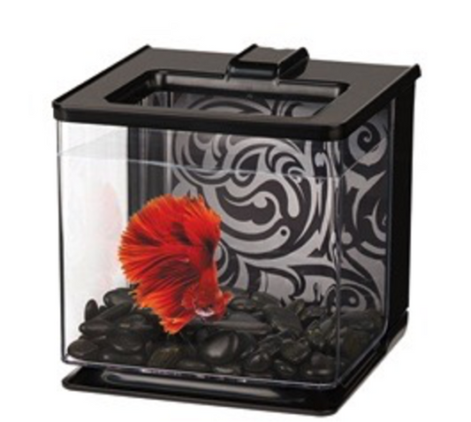 MA 2.5L EZ CARE BETTA KIT -BLUE