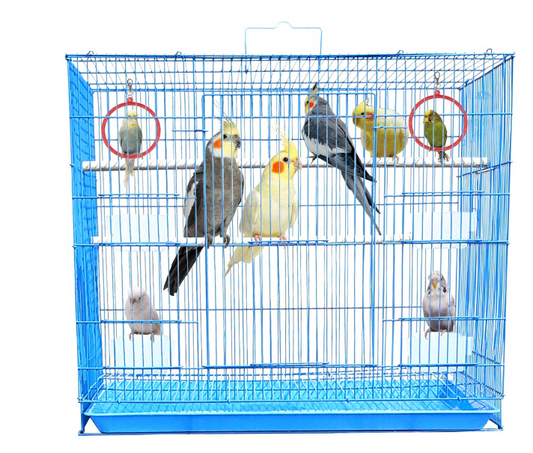 BIRDS CAGE