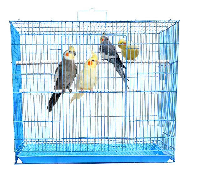 BIRDS CAGE