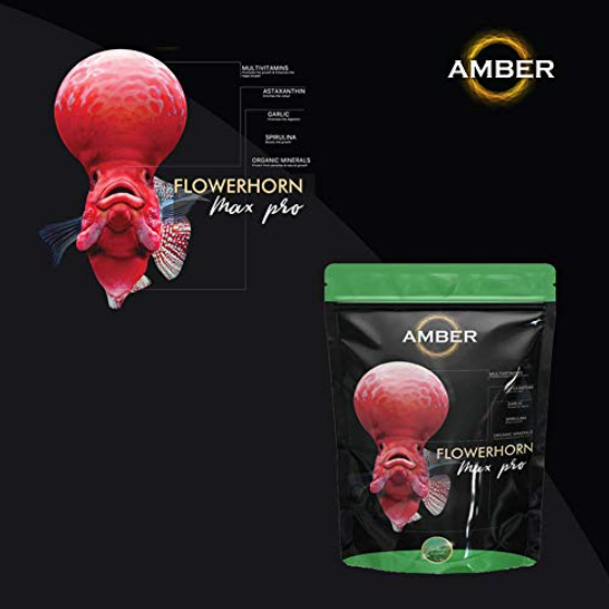Amber Flowerhorn Fish Food Asta Plus