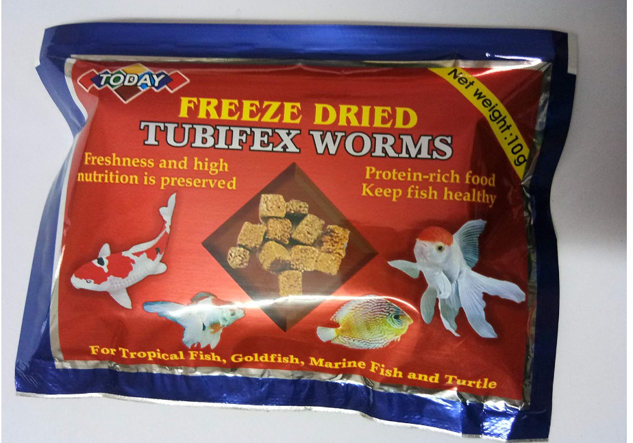 TUBIFEX WORM 10 GM-TODAYS