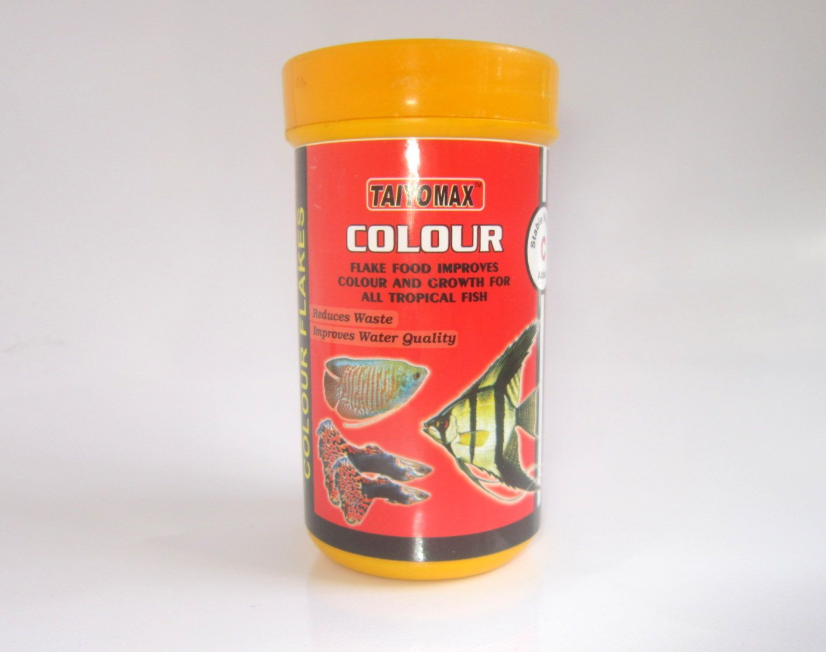 COLOR FLAKE 50 GM-TODAYS