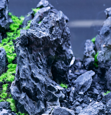Black Mountain Seiryu Stone